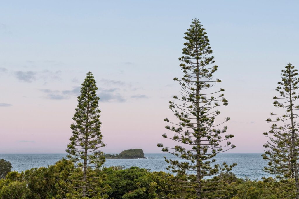 3/21 Mudjimba Esplanade, Mudjimba QLD 4564 - McGrath Sunshine Coast