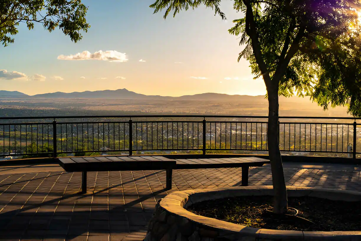 Buyers continue to flock to tree and sea change areas around the country, and there’s good reason for this says John McGrath, Chief Executive Officer of McGrath Estate Agents.