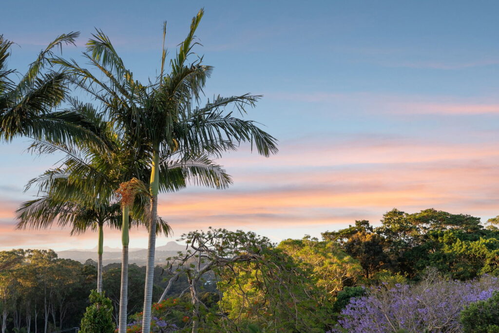 Sold - 37 Eckersley Avenue - New Property in Buderim - Real Estate by Stuart Thomas
