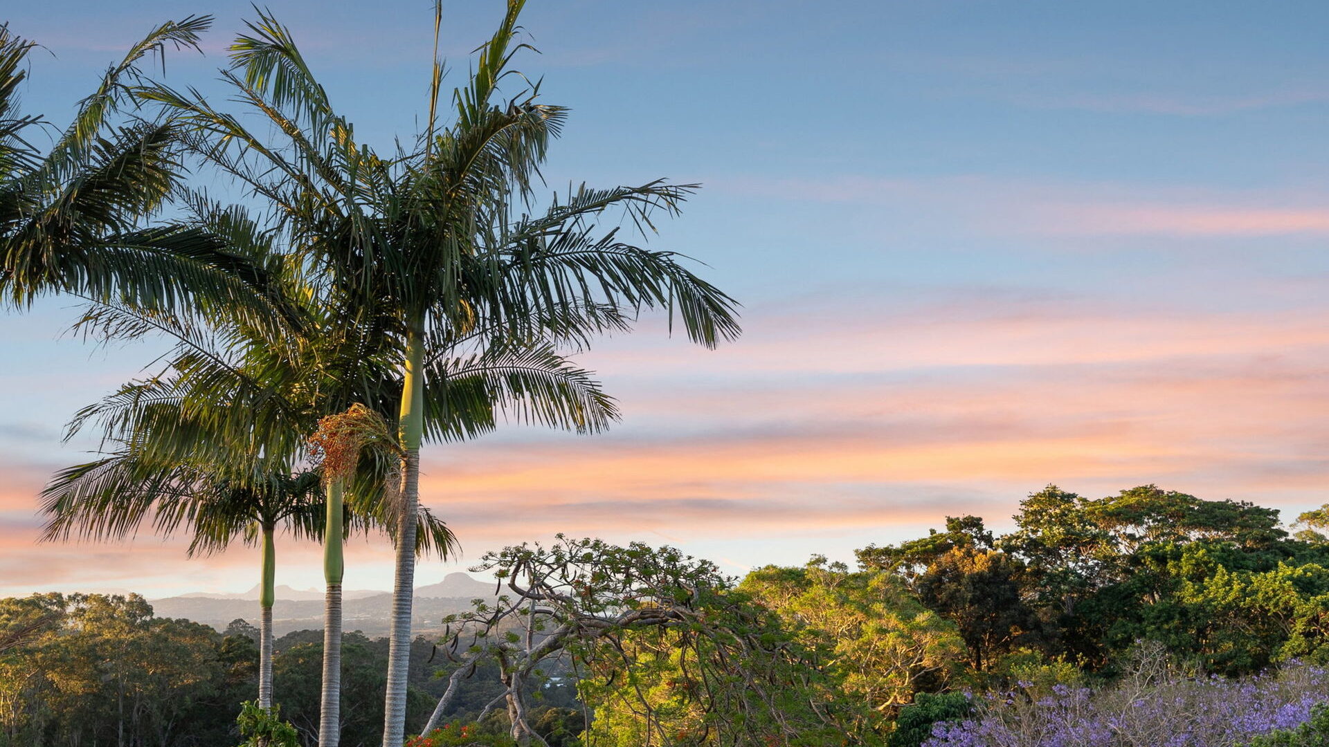 Sold - 37 Eckersley Avenue - New Property in Buderim - Real Estate by Stuart Thomas
