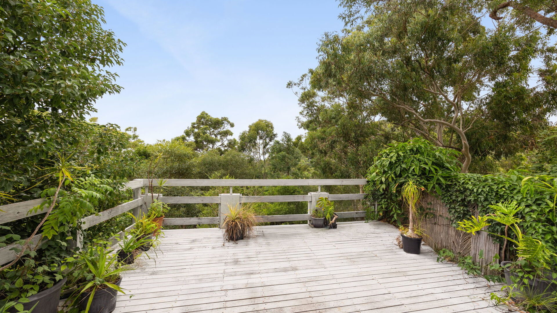 Sold - 11 Mora Court - New Property in Coolum Beach - Real Estate by Daniel Powers