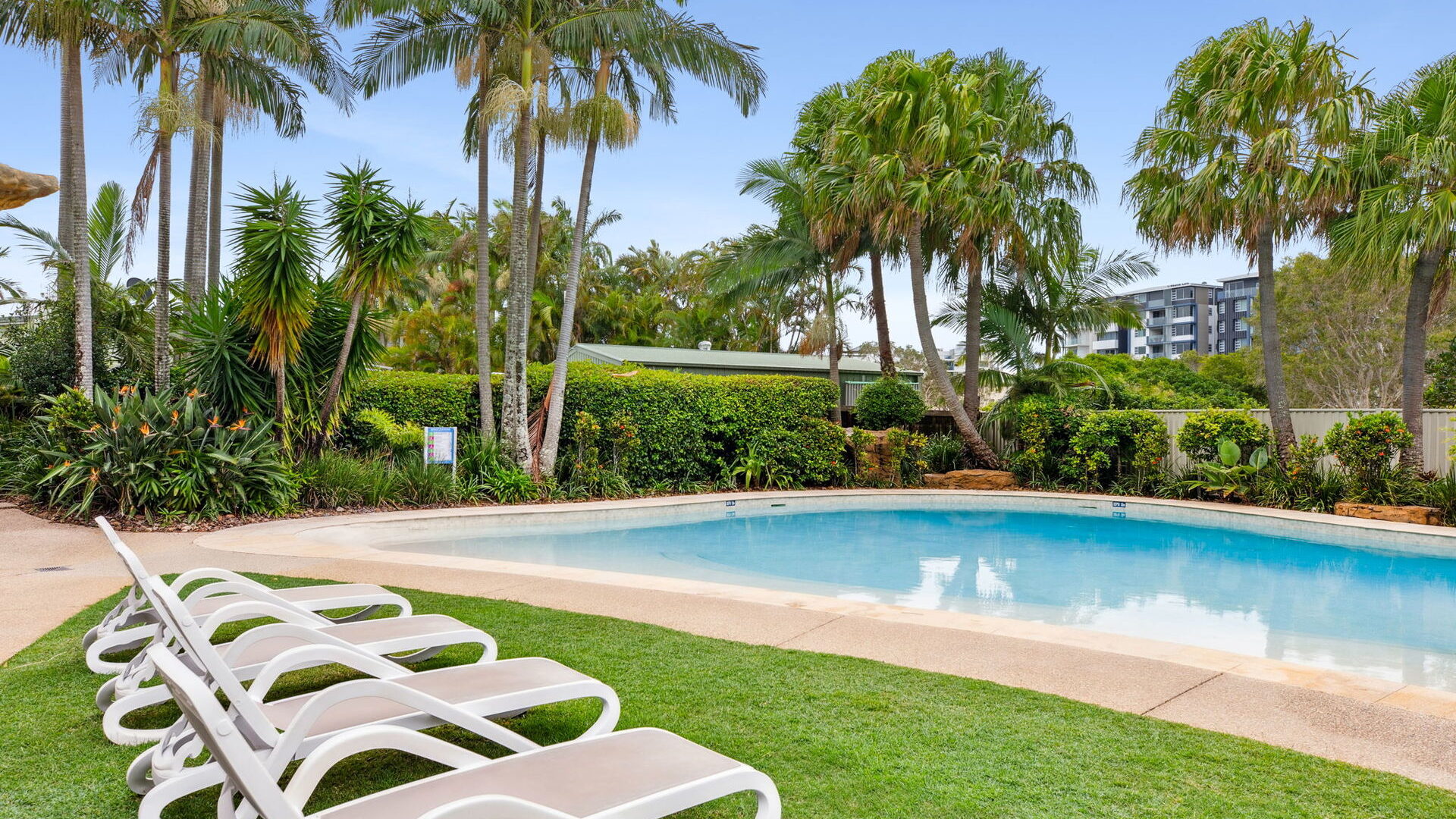 Sold - 12/6 Mari Street - New Property in Alexandra Headland - Real Estate by Carlie Penn