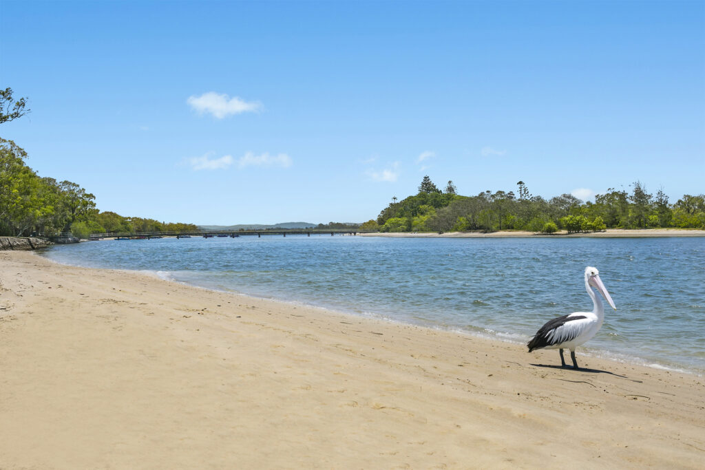 Sold - 5/87-89 Duporth Avenue - New Property in Maroochydore - Real Estate by Glennis Schindler