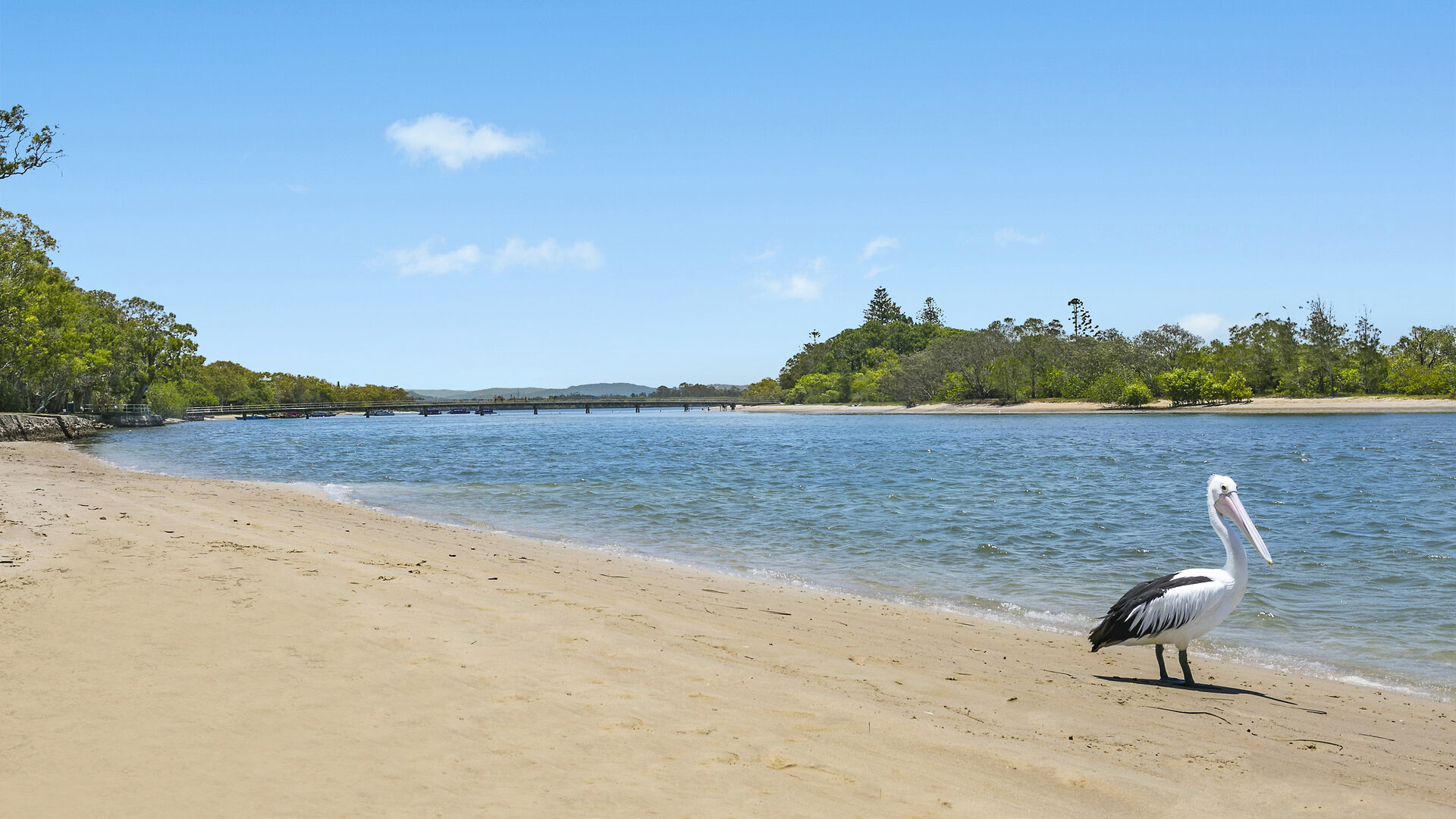 Sold - 5/87-89 Duporth Avenue - New Property in Maroochydore - Real Estate by Glennis Schindler