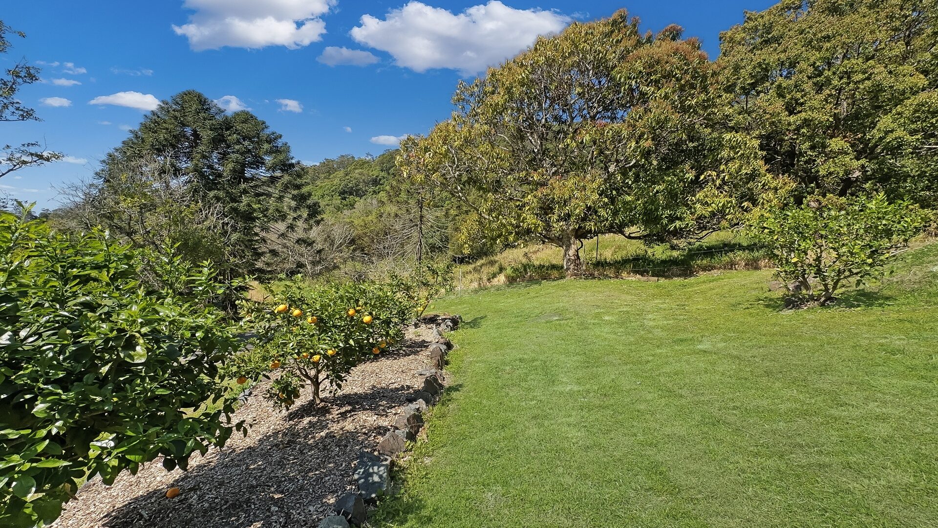 Sold - 652 Hunchy Road - New Property in Hunchy - Real Estate by Shaun Hammill