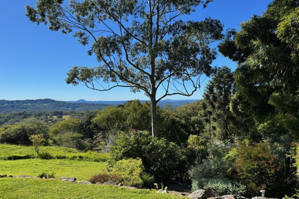 Sold - 652 Hunchy Road - New Property in Hunchy - Real Estate by Shaun Hammill