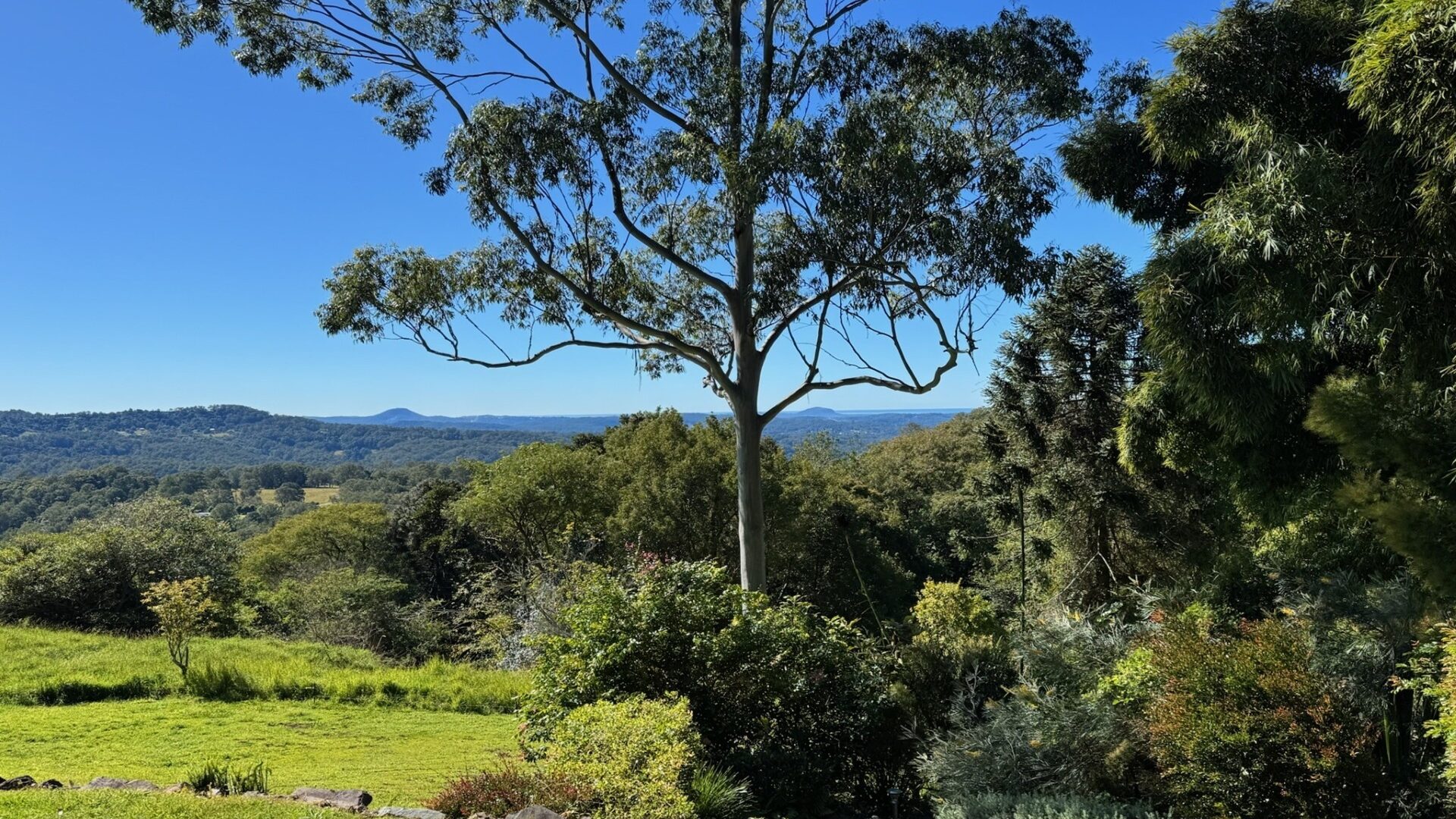 Sold - 652 Hunchy Road - New Property in Hunchy - Real Estate by Shaun Hammill