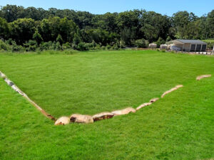 Sold - Lot 6 Gateway Drive - New Property in Diddillibah - Real Estate by Todd McKee