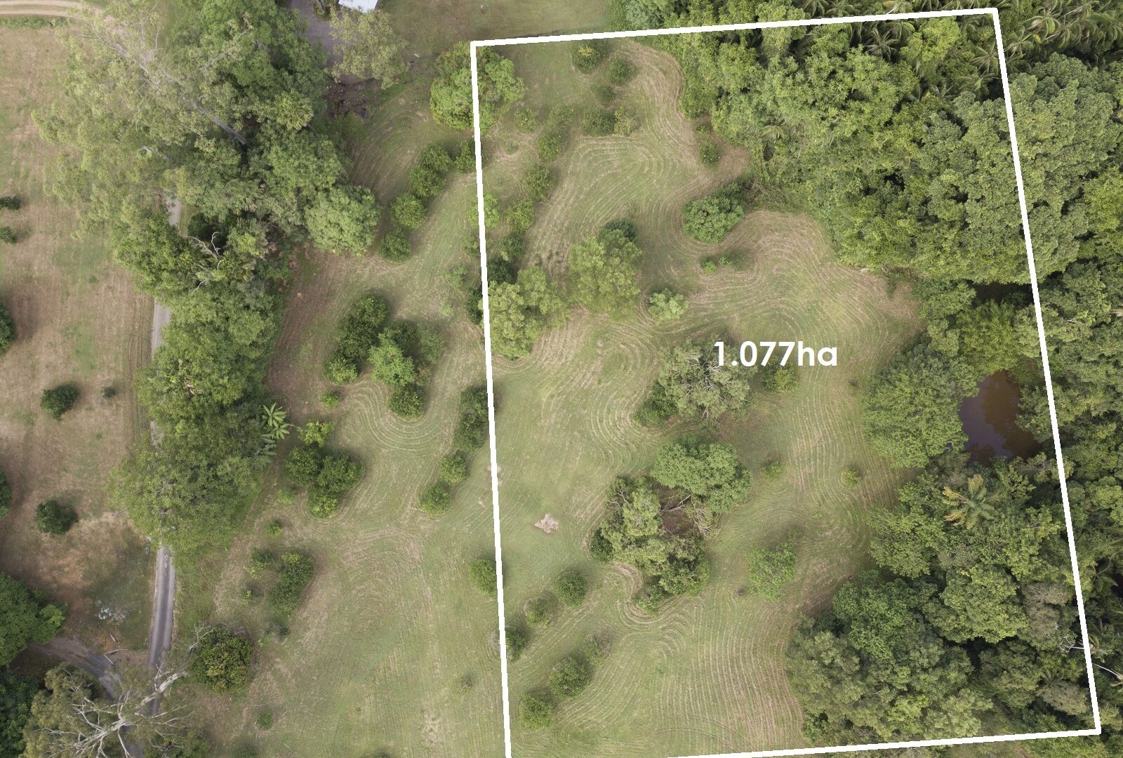 Sold - 101 Kentish Road - New Property in Forest Glen - Real Estate by Todd McKee
