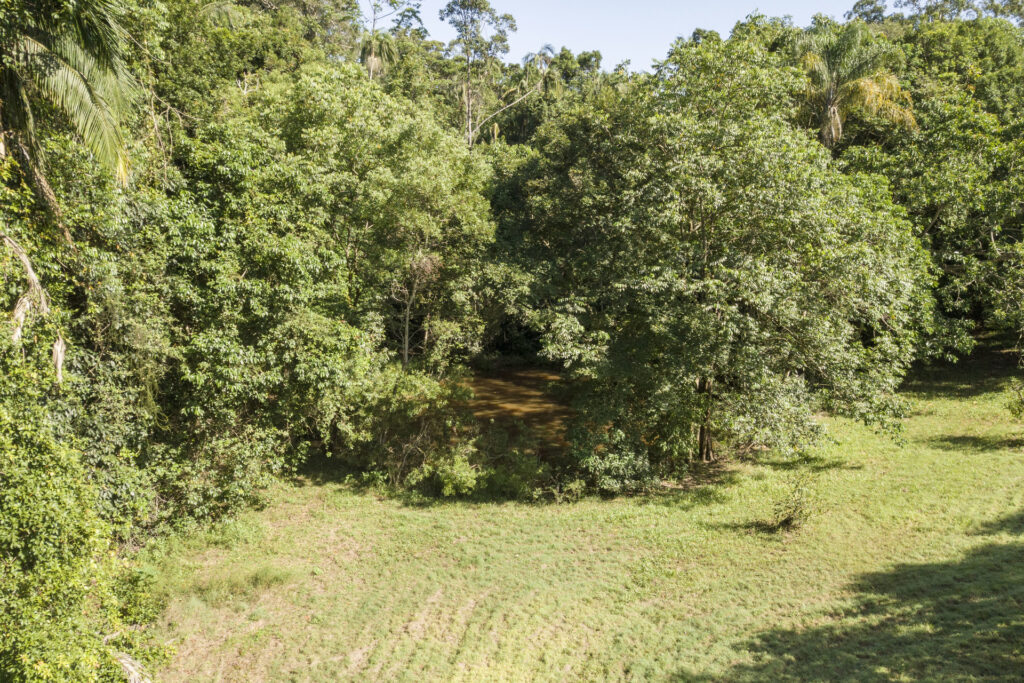 Sold - 101 Kentish Road - New Property in Forest Glen - Real Estate by Todd McKee