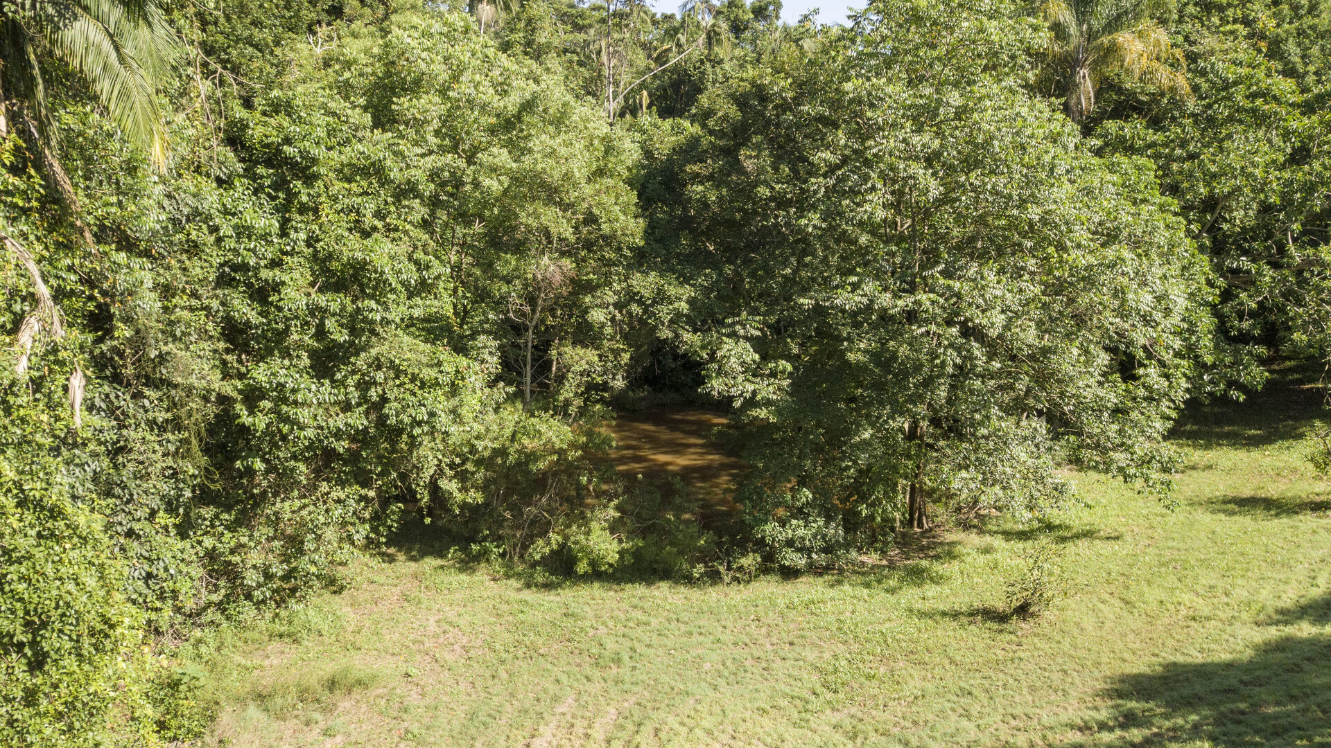 Sold - 101 Kentish Road - New Property in Forest Glen - Real Estate by Todd McKee