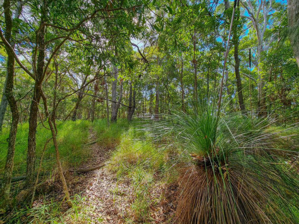  - 579 Yandina-Coolum Road - New Property in Yandina Creek - Real Estate by Todd McKee