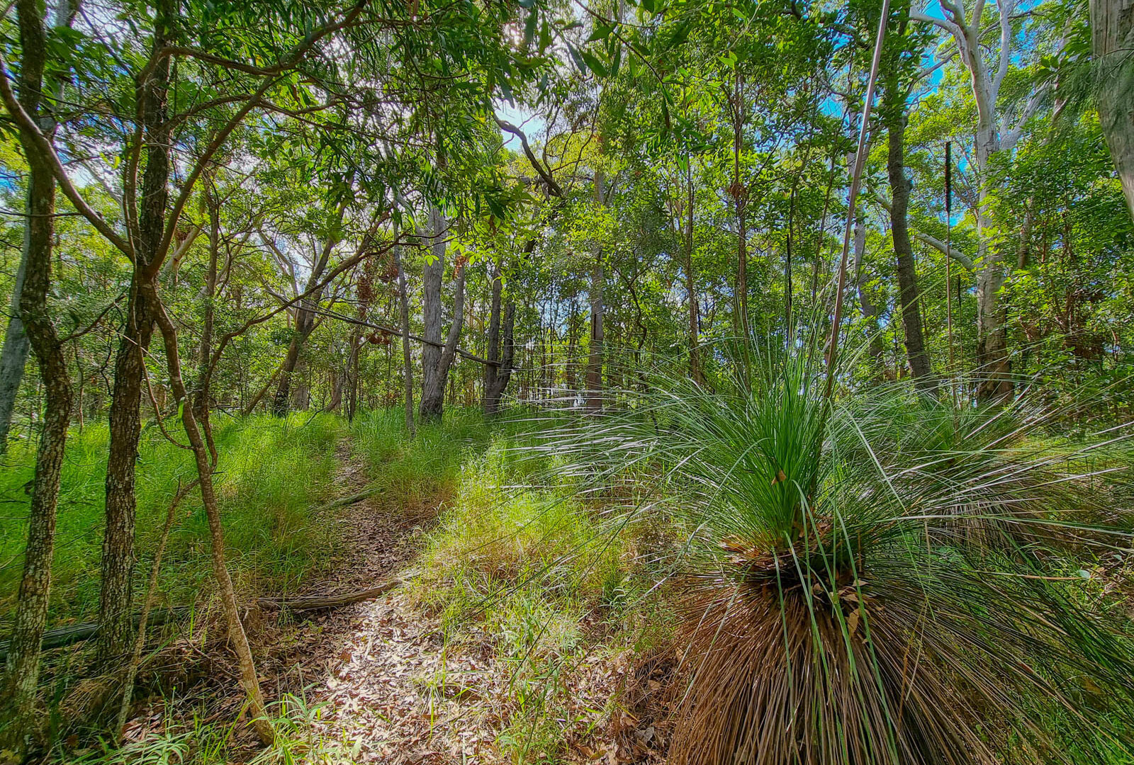  - 579 Yandina-Coolum Road - New Property in Yandina Creek - Real Estate by Todd McKee