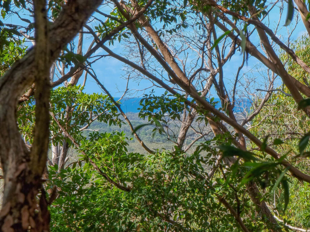  - 579 Yandina-Coolum Road - New Property in Yandina Creek - Real Estate by Todd McKee