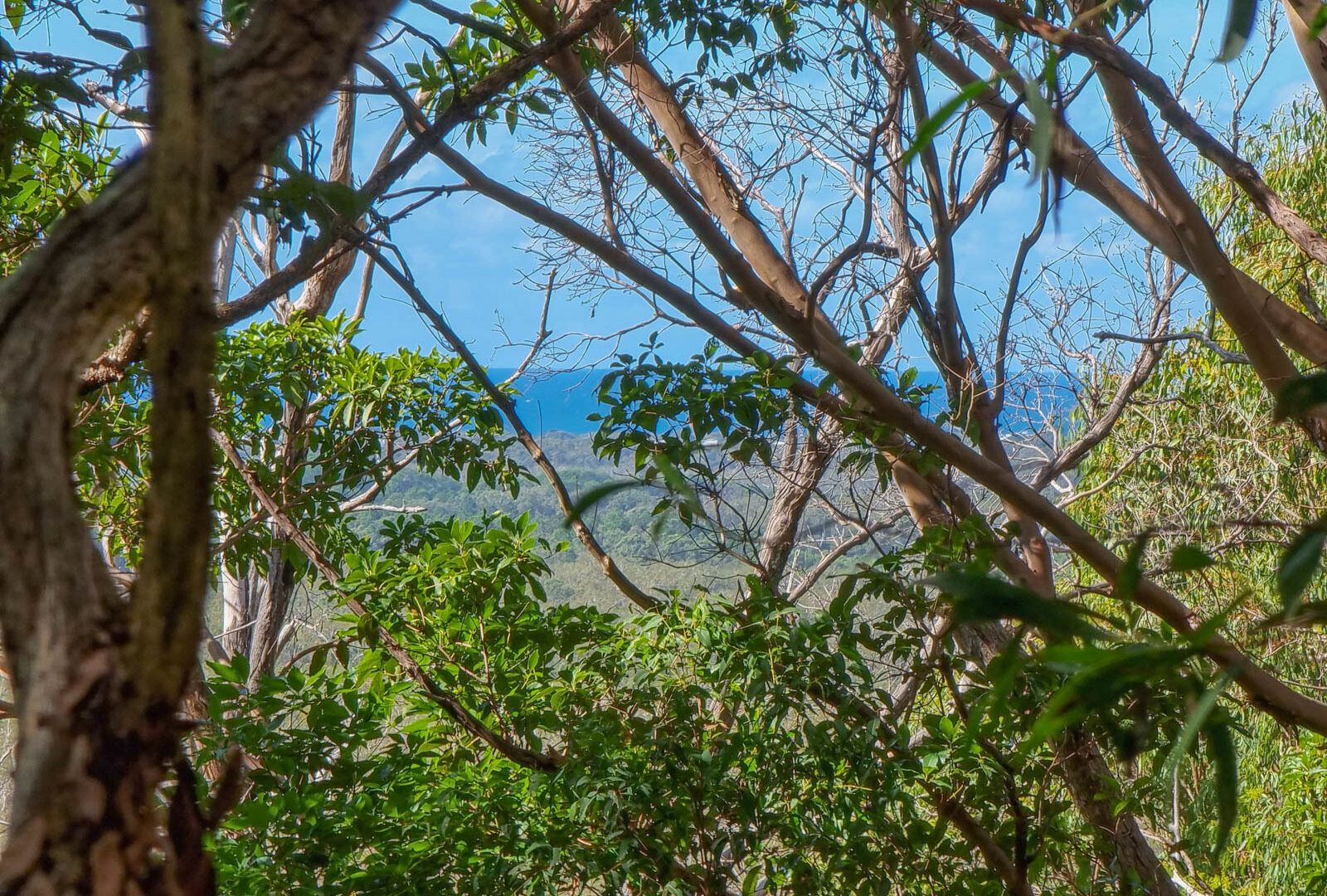  - 579 Yandina-Coolum Road - New Property in Yandina Creek - Real Estate by Todd McKee