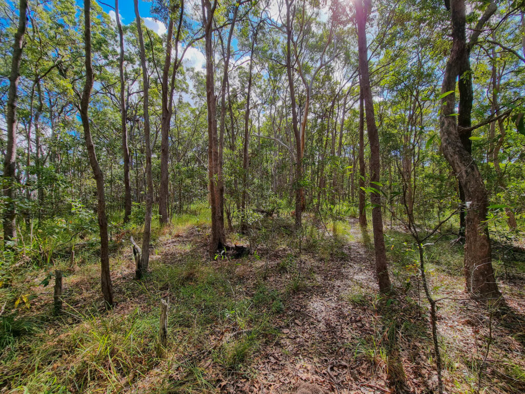  - 579 Yandina-Coolum Road - New Property in Yandina Creek - Real Estate by Todd McKee