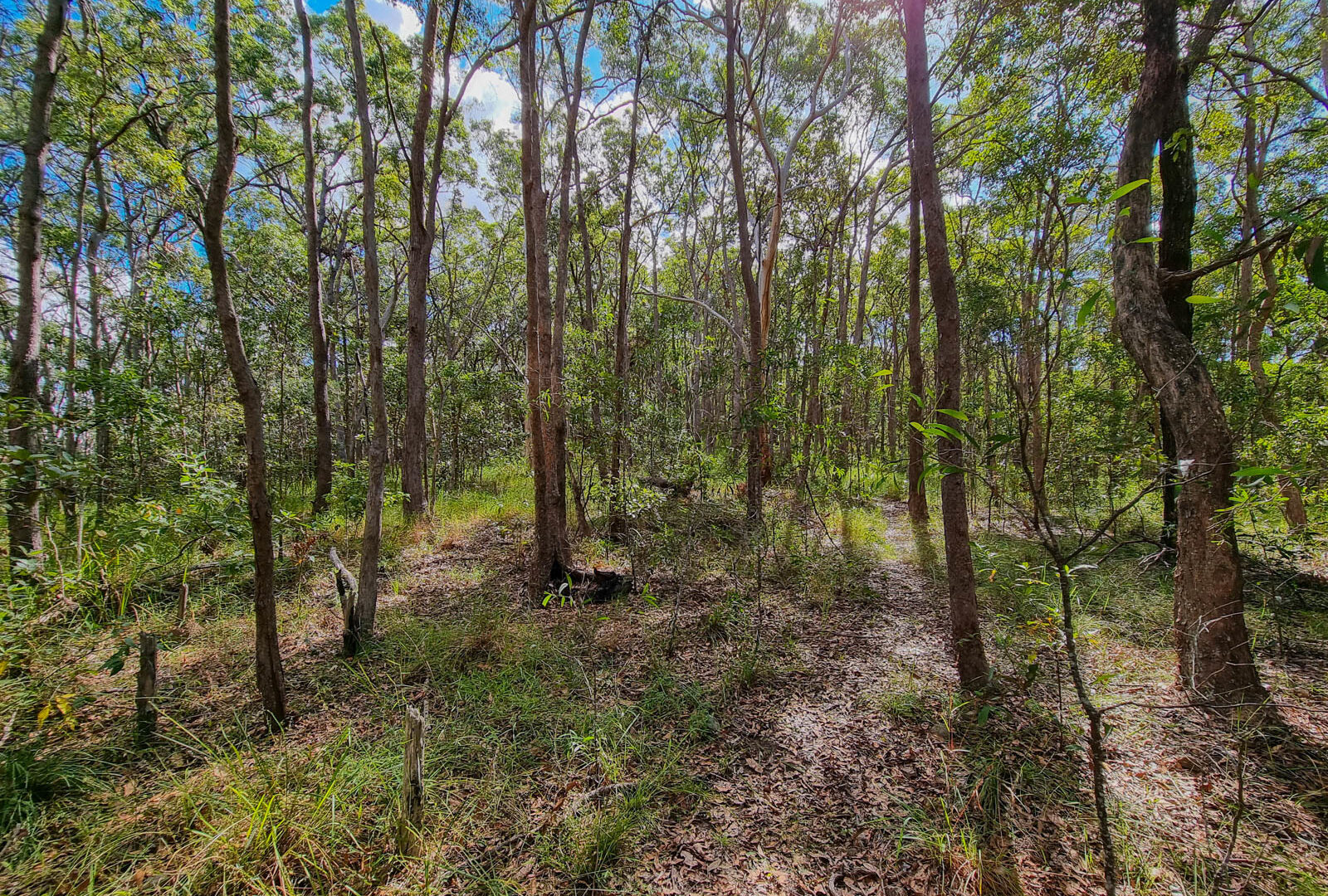  - 579 Yandina-Coolum Road - New Property in Yandina Creek - Real Estate by Todd McKee