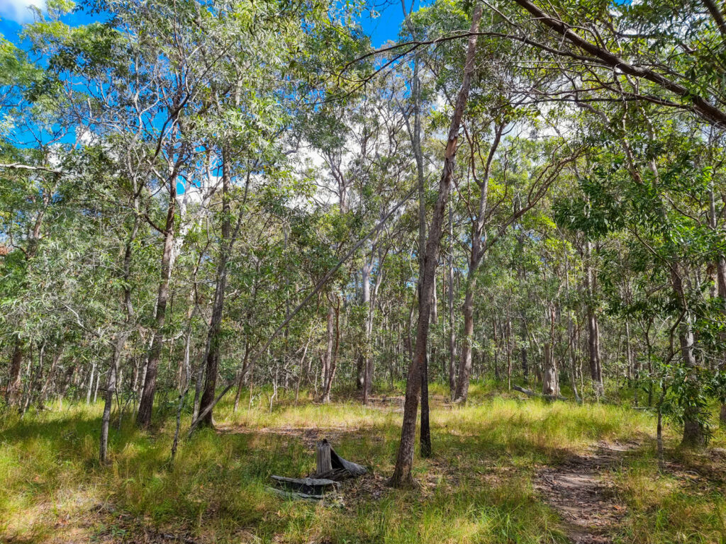  - 579 Yandina-Coolum Road - New Property in Yandina Creek - Real Estate by Todd McKee