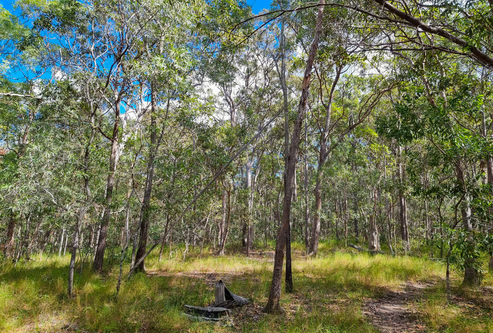  - 579 Yandina-Coolum Road - New Property in Yandina Creek - Real Estate by Todd McKee
