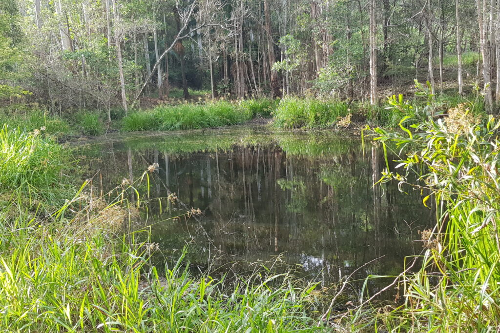 Sold -  Dunkeld Court - New Property in Forest Glen - Real Estate by Todd McKee