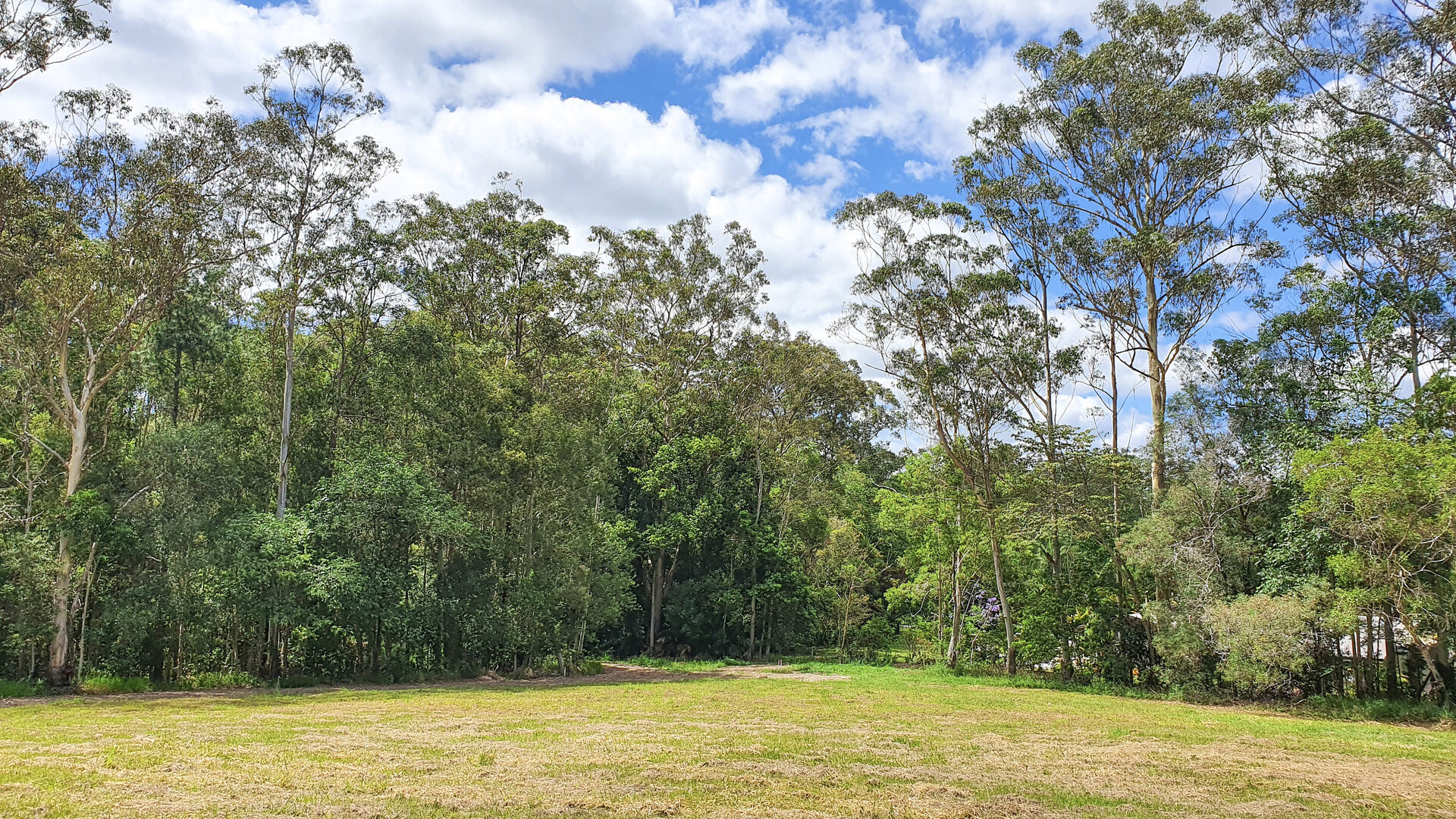 Sold -  Dunkeld Court - New Property in Forest Glen - Real Estate by Todd McKee