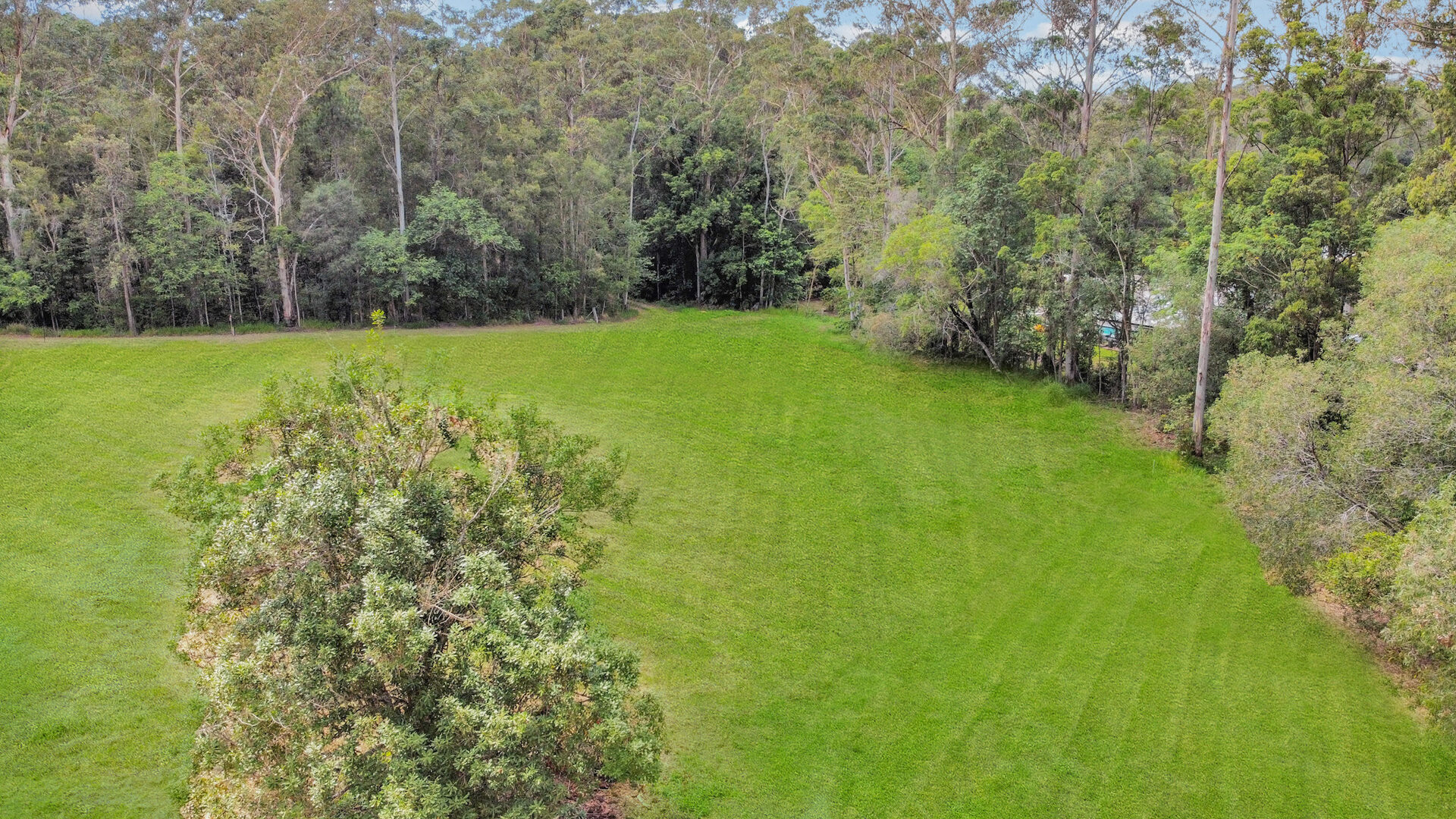 Sold -  Dunkeld Court - New Property in Forest Glen - Real Estate by Todd McKee
