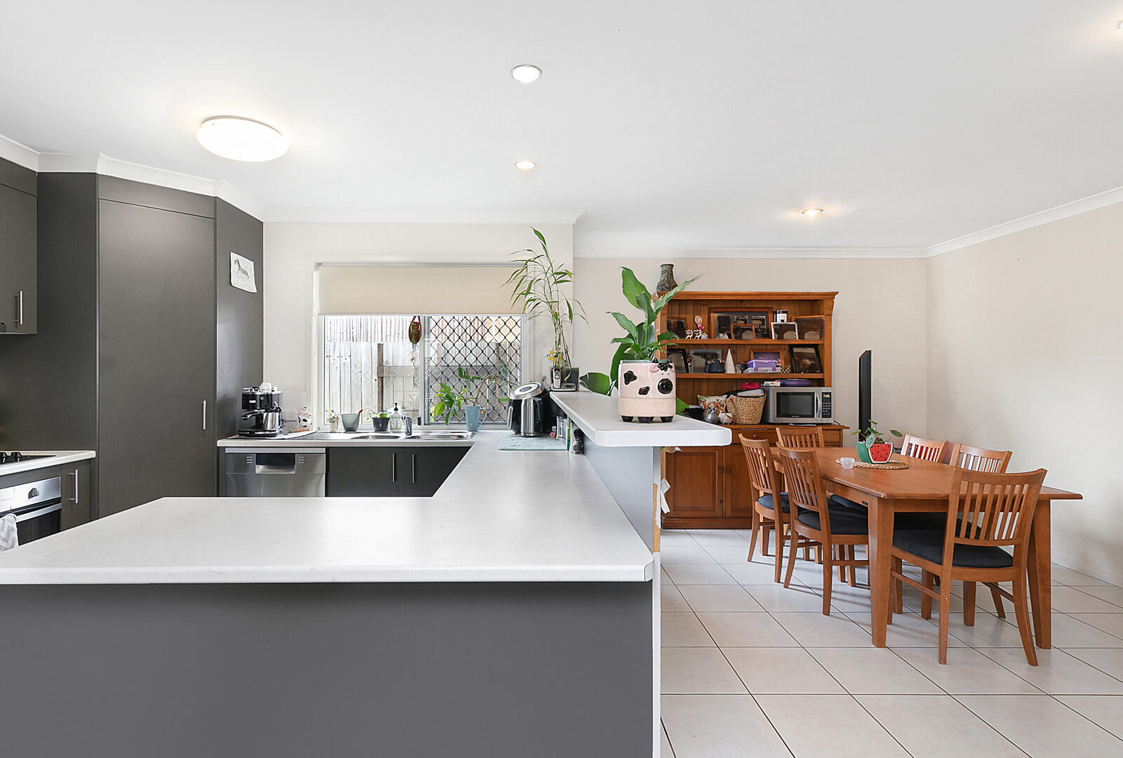 Sold - 12 Kamala Place - New Property in Meridan Plains - Real Estate by Geoff Ohmsen