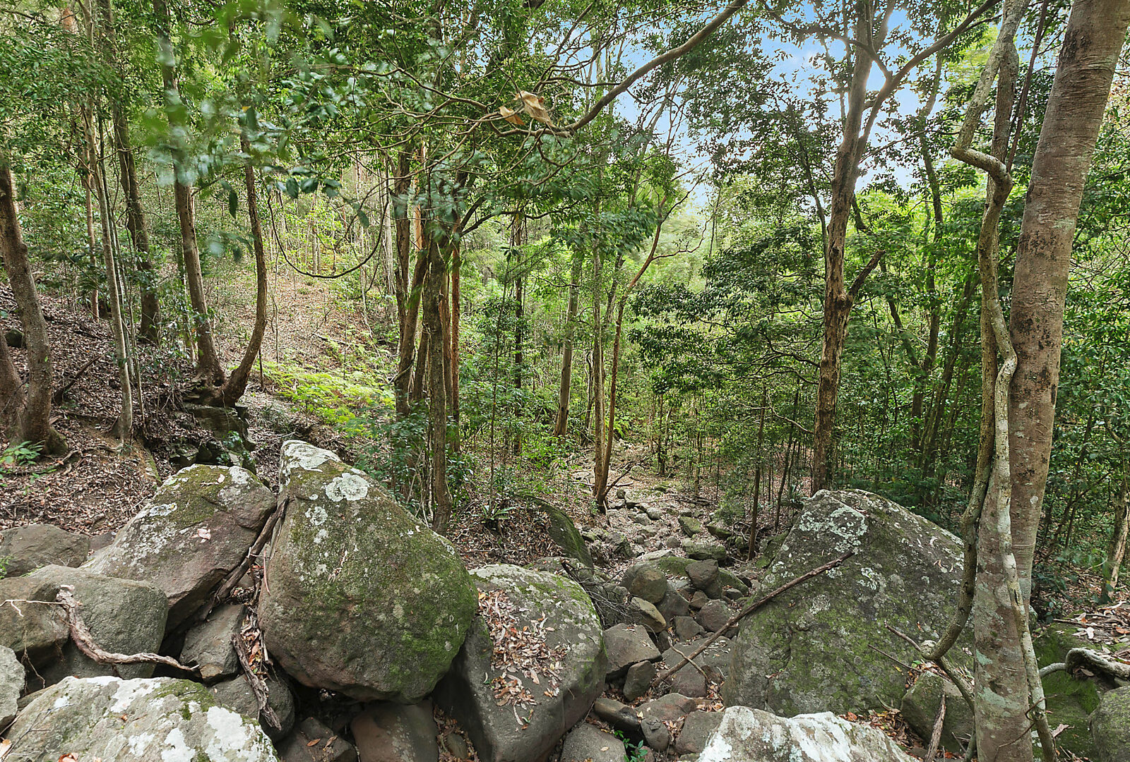 Sold - 185 Brandenburg Road - New Property in Mooloolah Valley - Real Estate by Todd McKee