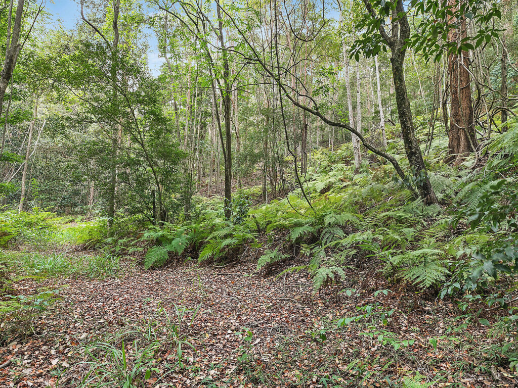 Sold - 185 Brandenburg Road - New Property in Mooloolah Valley - Real Estate by Todd McKee