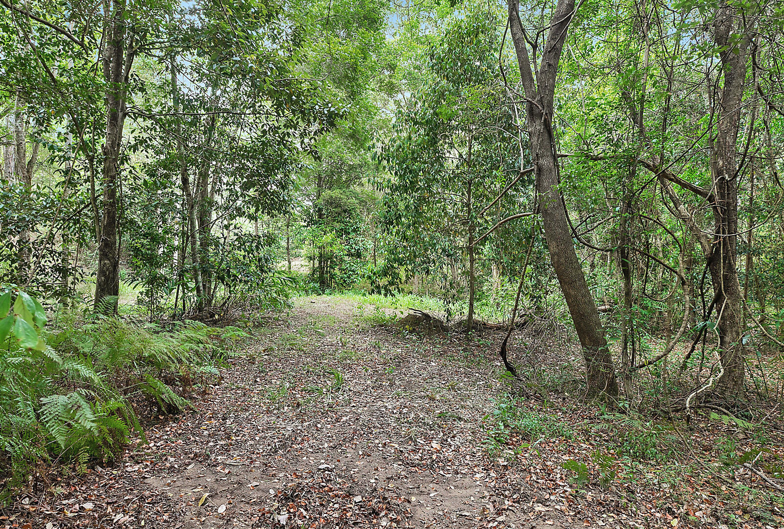 Sold - 185 Brandenburg Road - New Property in Mooloolah Valley - Real Estate by Todd McKee
