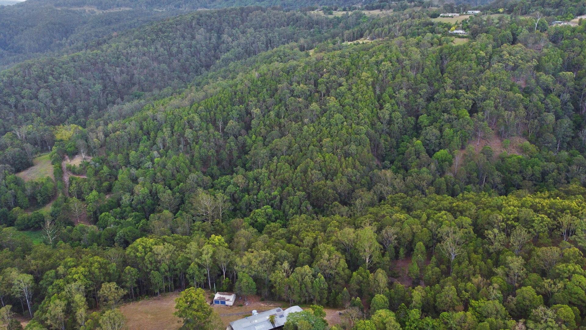 Sold - 185 Brandenburg Road - New Property in Mooloolah Valley - Real Estate by Todd McKee
