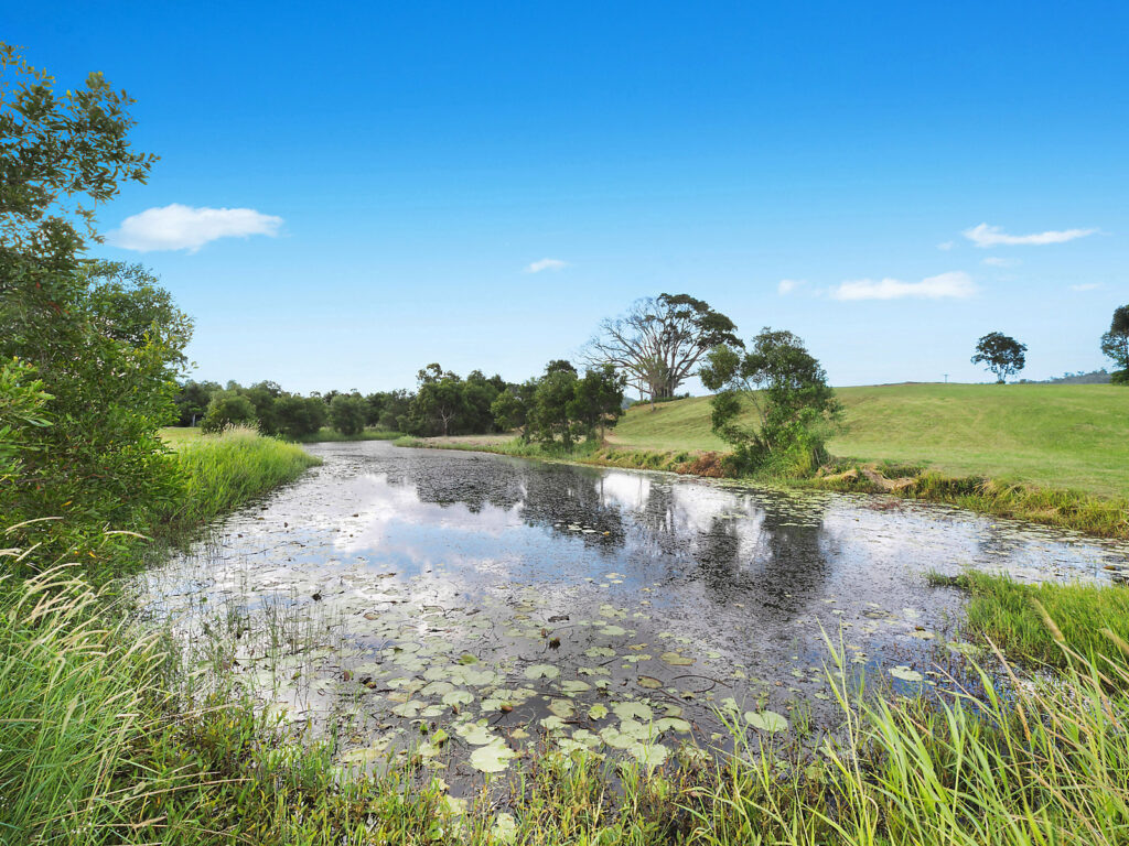 Sold - 255 Toolborough Road - New Property in Yandina Creek - Real Estate by 