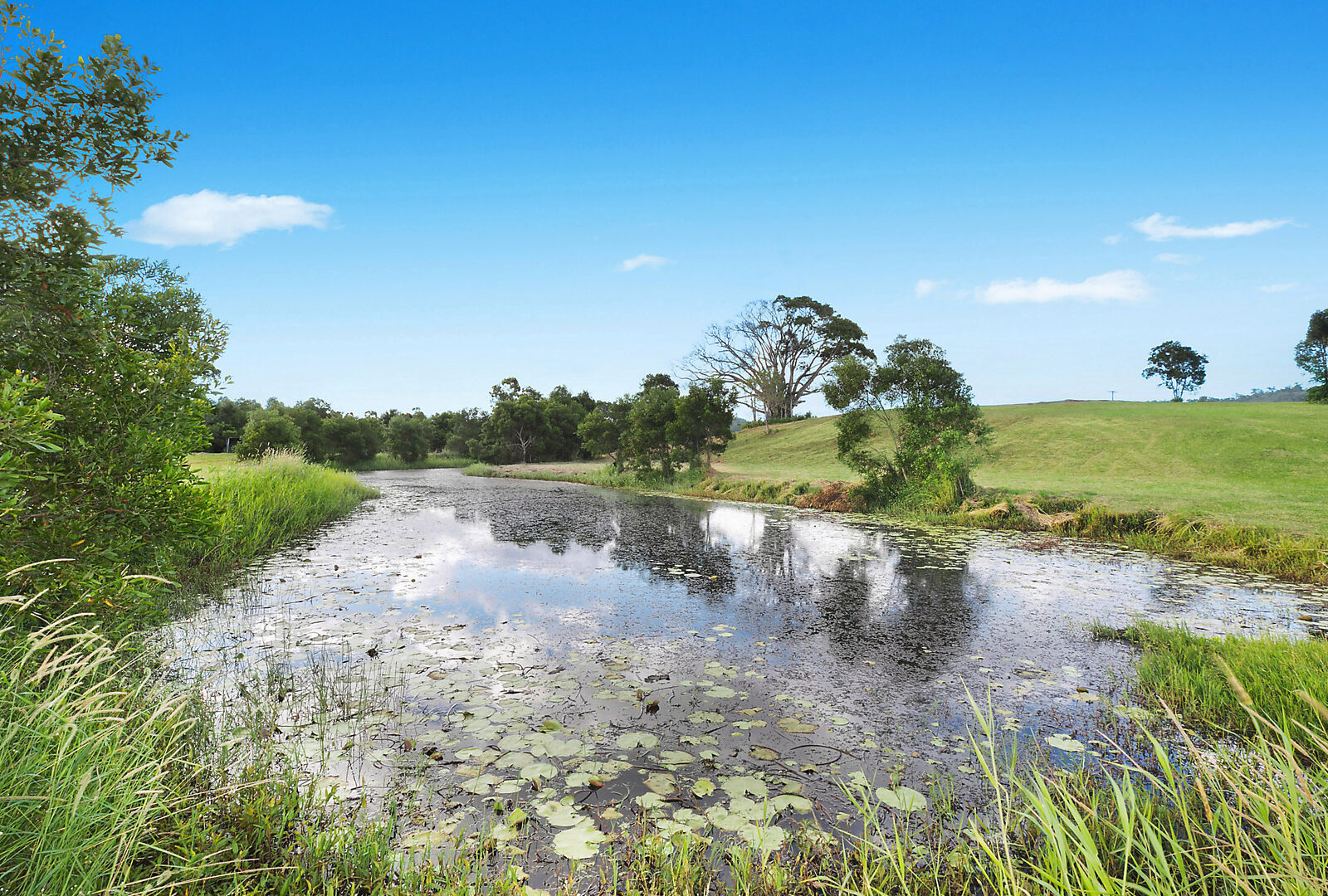 Sold - 255 Toolborough Road - New Property in Yandina Creek - Real Estate by 