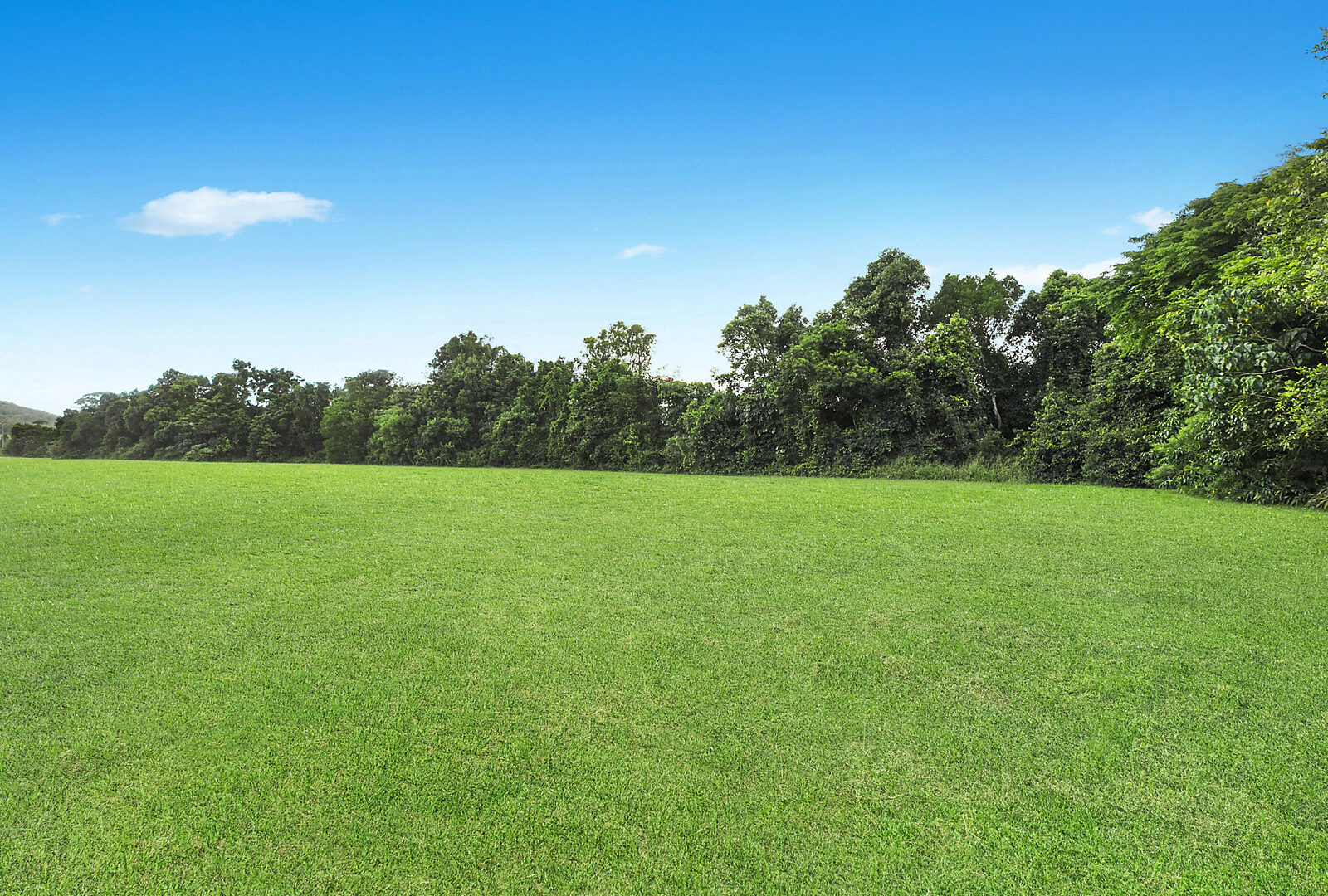 Sold - 255 Toolborough Road - New Property in Yandina Creek - Real Estate by 