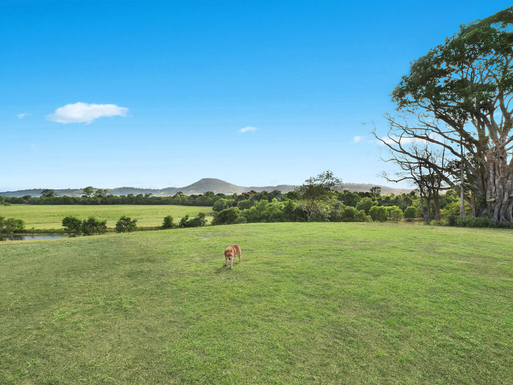 Sold - 255 Toolborough Road - New Property in Yandina Creek - Real Estate by 