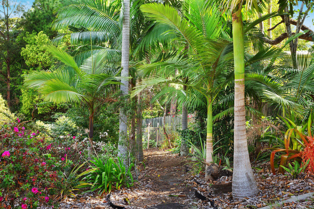 Sold - 672-680 Diddillibah Road - New Property in Diddillibah - Real Estate by Todd McKee