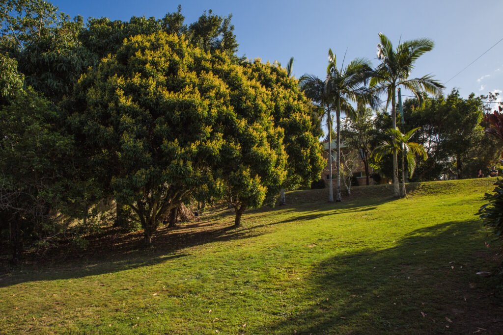 Sold -  23 Princess Crescent - New Property in Nambour - Real Estate by 