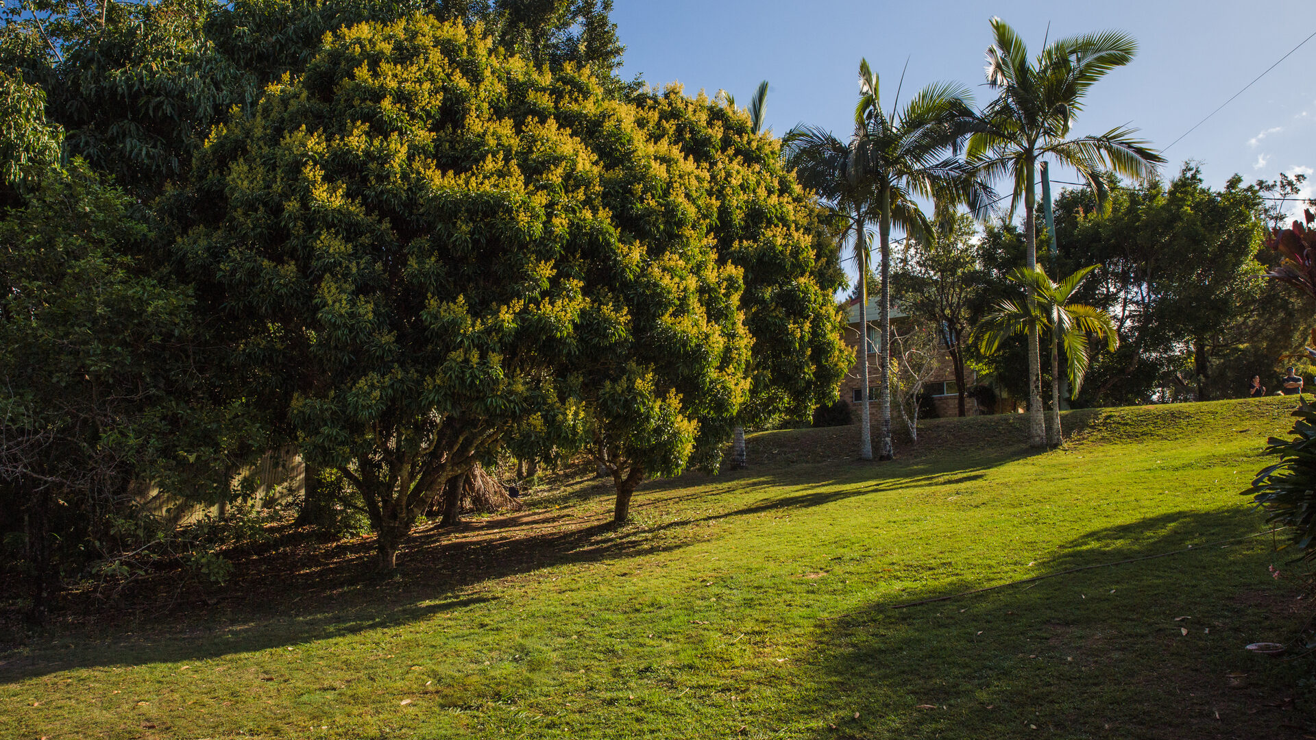 Sold -  23 Princess Crescent - New Property in Nambour - Real Estate by 