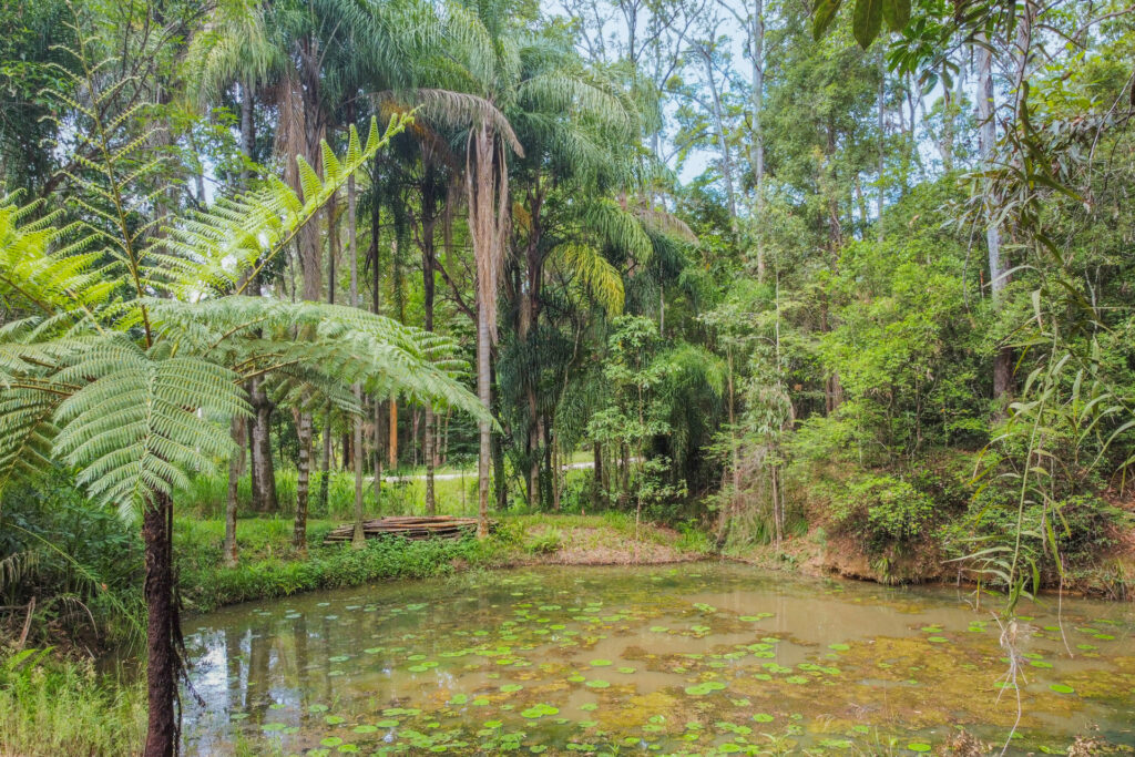 Sold - 14-22 Christensens Road - New Property in Hunchy - Real Estate by David Swarbrick