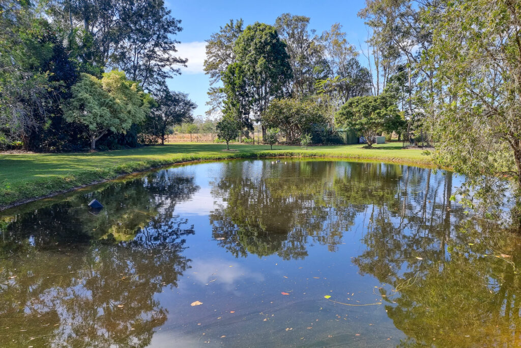Sold - 103 Eudlo Flats Road - New Property in Diddillibah - Real Estate by Todd McKee