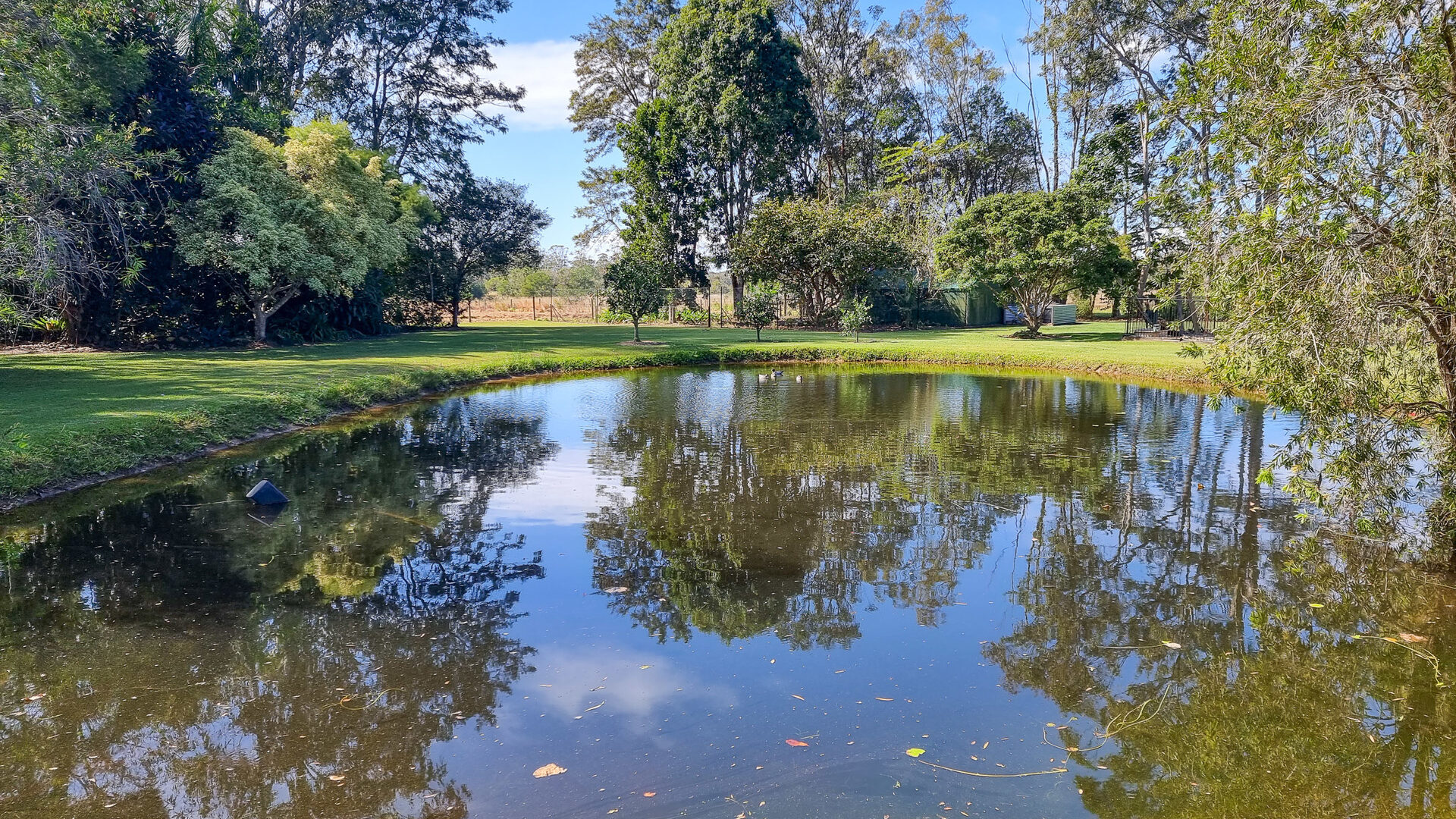 Sold - 103 Eudlo Flats Road - New Property in Diddillibah - Real Estate by Todd McKee
