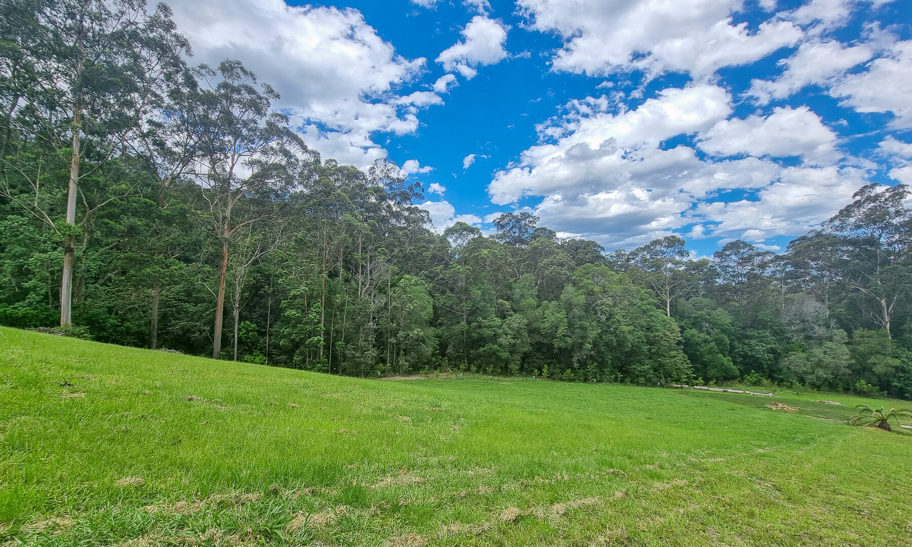 Sold - 20 Monet Glen Place - New Property in Kiels Mountain - Real Estate by Todd McKee