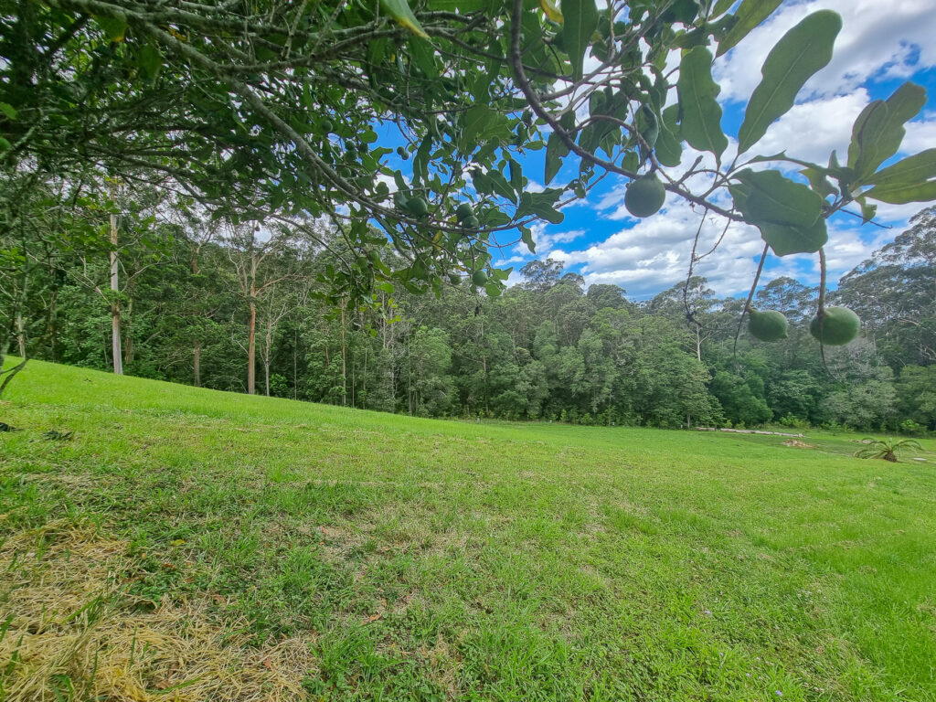 Sold - 20 Monet Glen Place - New Property in Kiels Mountain - Real Estate by Todd McKee