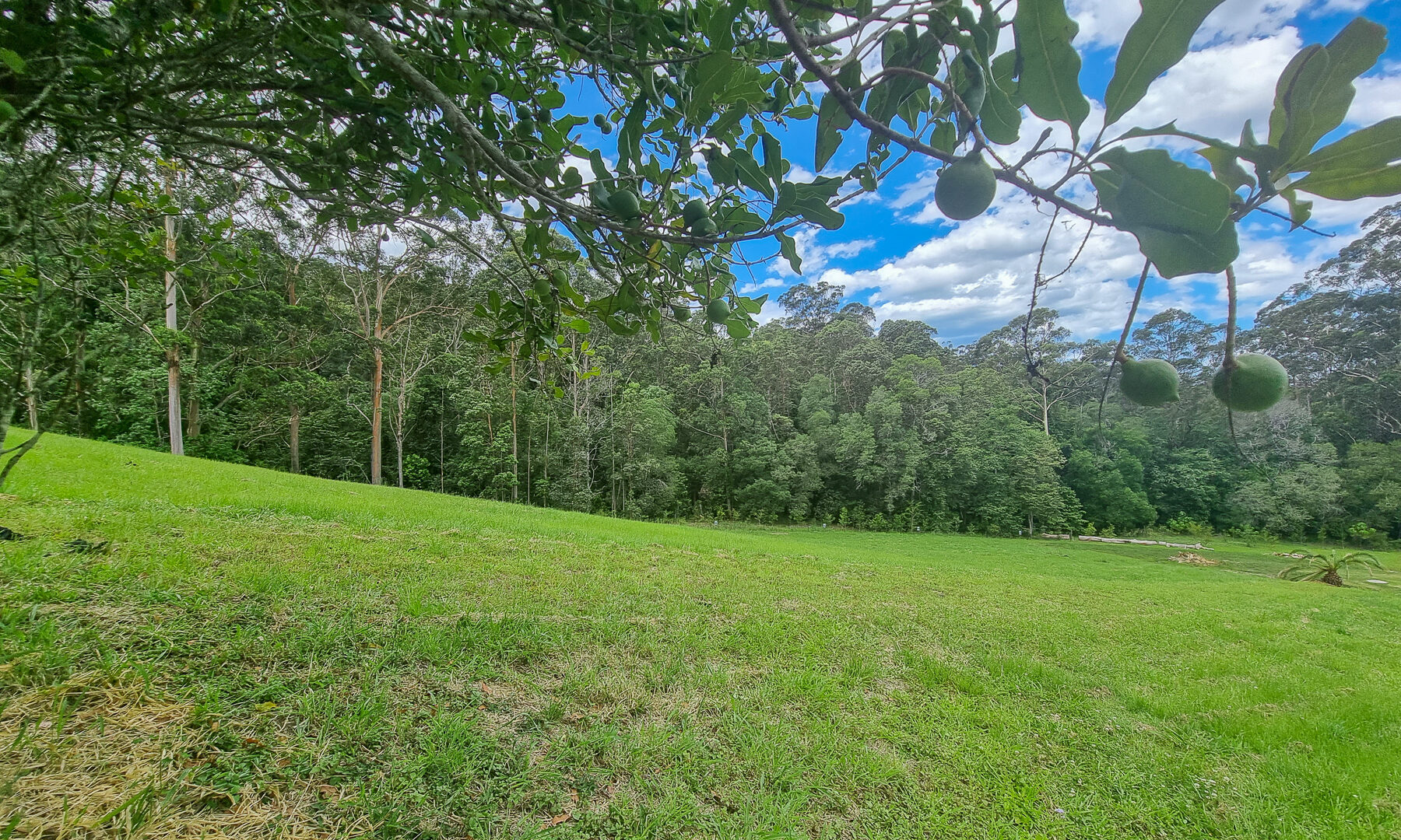 Sold - 20 Monet Glen Place - New Property in Kiels Mountain - Real Estate by Todd McKee