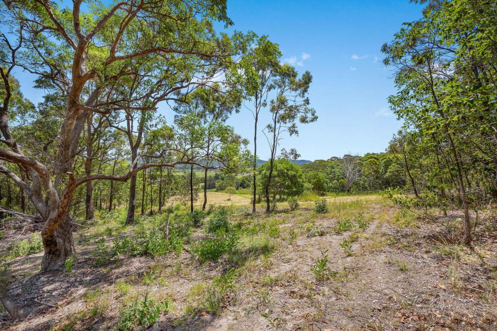 Sold - Lot 2/128 Toolborough Road - New Property in Yandina Creek - Real Estate by 