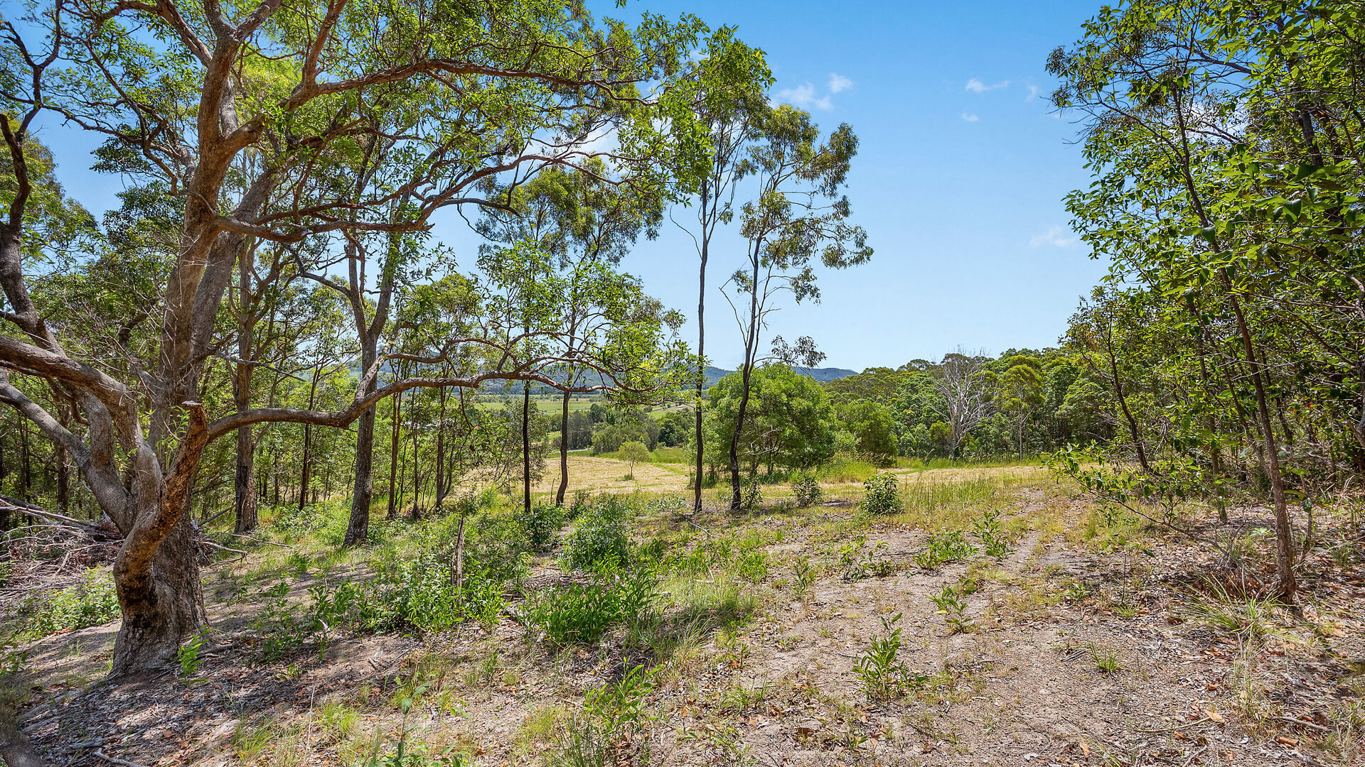 Sold - Lot 2/128 Toolborough Road - New Property in Yandina Creek - Real Estate by 