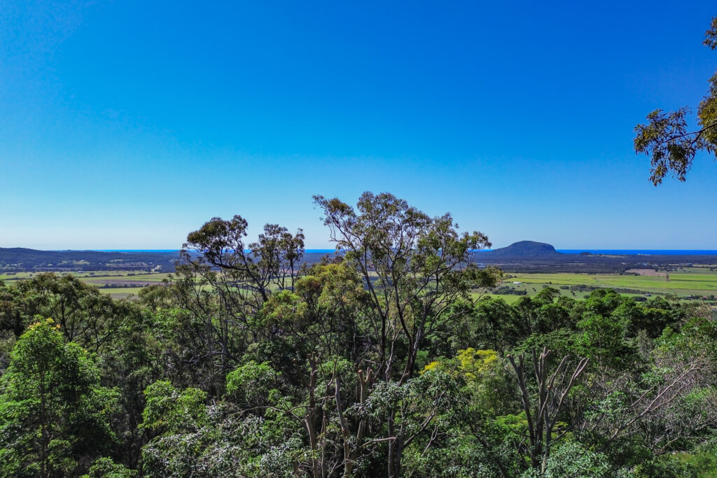 Sold - 11 Mount Coolum Close - New Property in Maroochy River - Real Estate by David Swarbrick