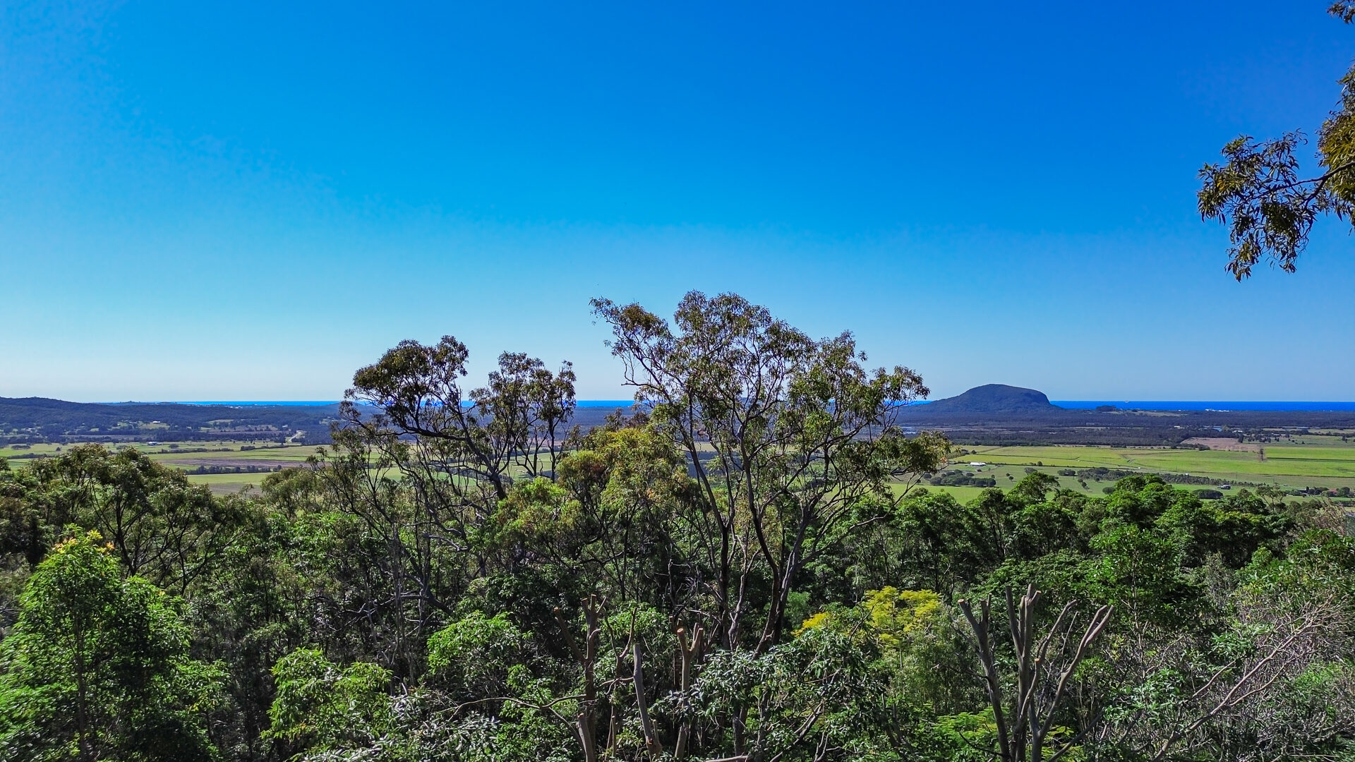 Sold - 11 Mount Coolum Close - New Property in Maroochy River - Real Estate by David Swarbrick