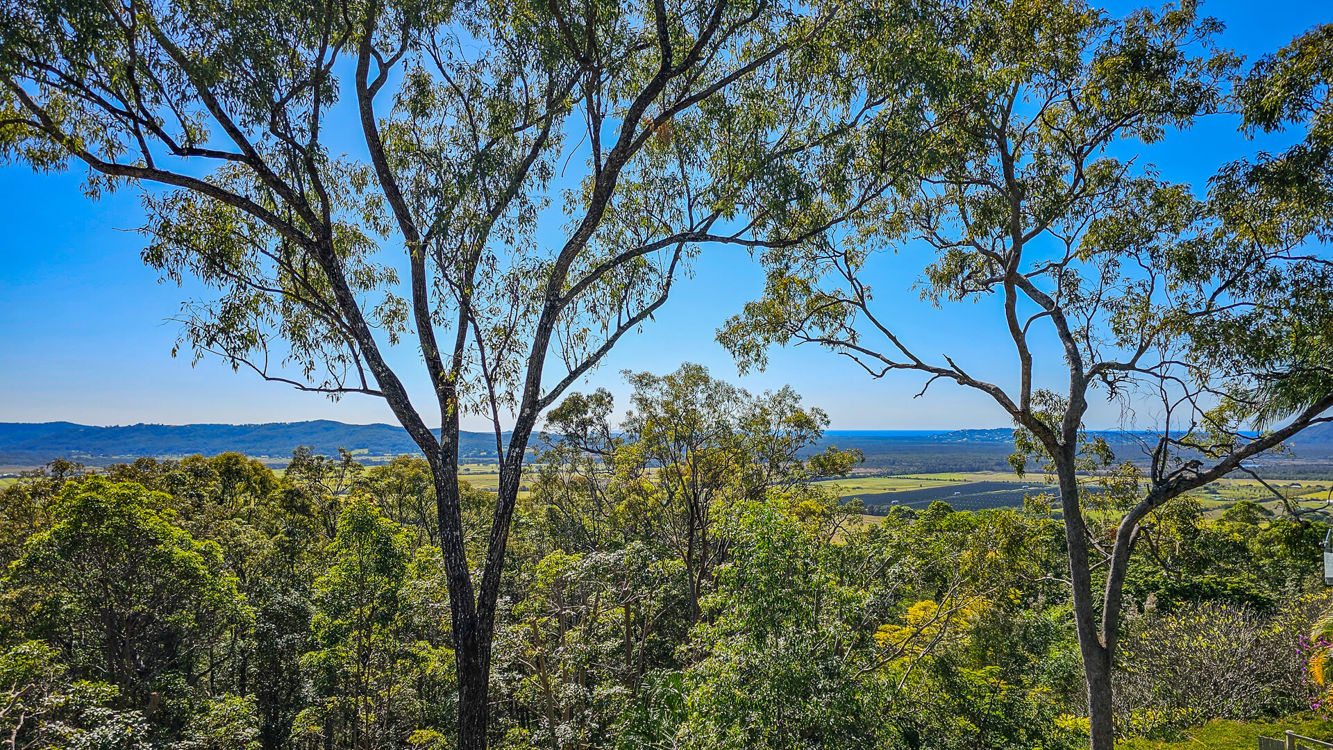 Sold - 11 Mount Coolum Close - New Property in Maroochy River - Real Estate by David Swarbrick