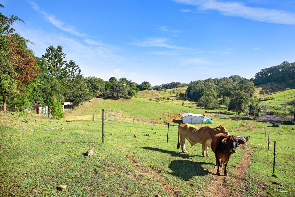 Sold - 204 Coes Creek Road - New Property in Coes Creek - Real Estate by 